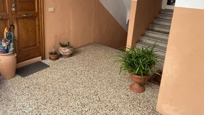 A hallway with a wooden door, potted plants, and a staircase.