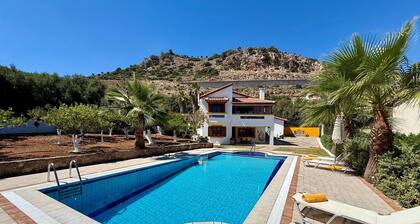Bienvenue à la Villa Lemonia !