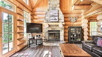 TV, fireplace, video game console, DVD player