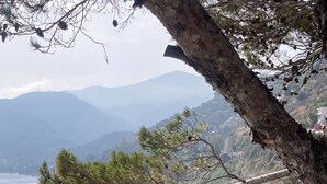A coastal landscape with a beach, trees, and a mountainous backdrop.