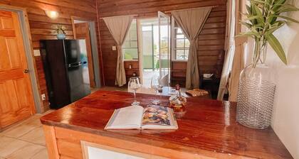 Aloe Cottage, Cute 2 Bedroom Caribbean Cottage with 2 Verandas