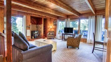 Télévision, cheminée