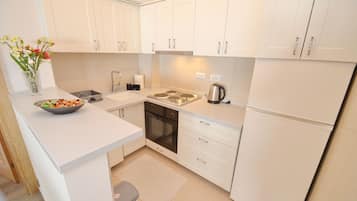 Standard Apartment | Private kitchen | Fridge, stovetop, cookware/dishes/utensils, cleaning supplies