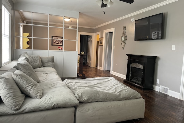 TV, fireplace, books