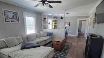 TV, fireplace, books