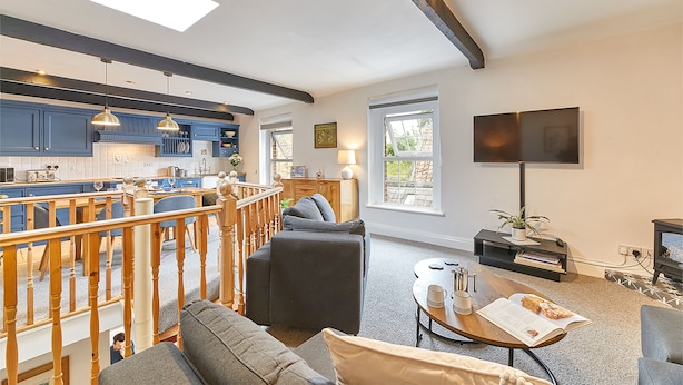 House | Living area | Flat-screen TV - The Burrow (Alnwick)