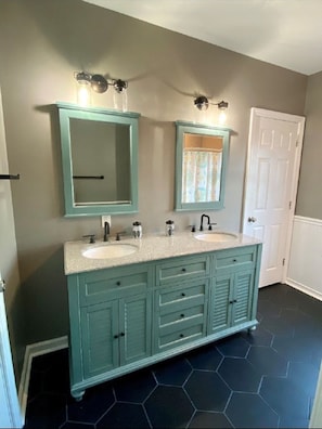 Combined shower/bathtub, hair dryer, toilet paper