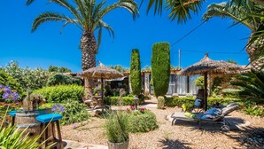 Un jardín con palmeras, un pabellón con techo de paja y una zona de descanso con tumbonas.
