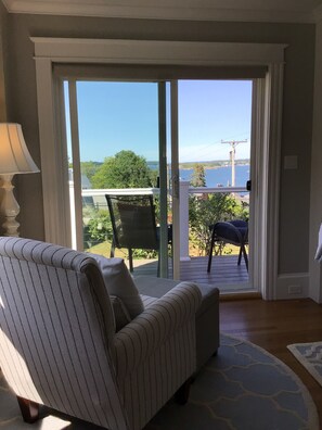 Smart TV, chimenea, reproductor de DVD y libros 