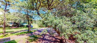 Dog-friendly, waterfront home w/sound access, patio & WiFi - walk to the beach