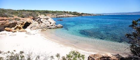 Nära stranden