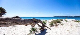 Alghero Old Town - Chic Historic Apartment - Quiet Area, near the Sea - Sardinia