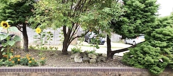 Grace Apartments - Living Stream 1