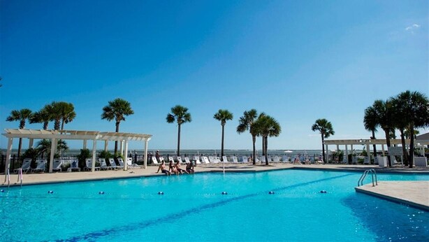 A clear blue pool with lounge chairs and palm trees, surrounded by a covered area.