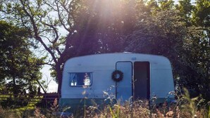 A stationary trailer with a small window and a door, surrounded by tall grass and trees. - Private Glamping in a Vintage Caravan & Bell Tent (Morpeth)