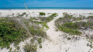 A sandy beach with sparse vegetation and a clear blue sky. - Luxury Oceanside Pool Home Boasting Incredible Views - Large 5/3 w/Heated Pool (St. Augustine)
