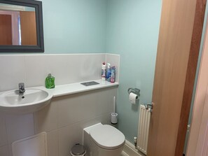 Combined shower/bathtub, hair dryer, towels, toilet paper