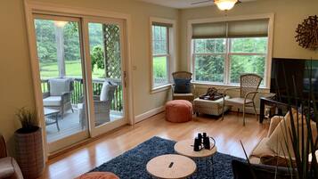 TV connectée, cheminée, livres