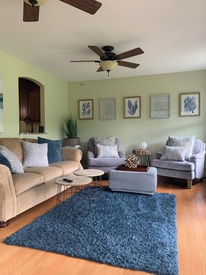 Smart TV, fireplace, books