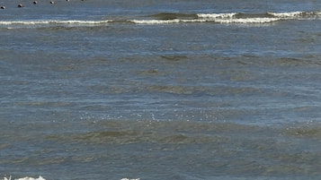 Ranta lähistöllä, aurinkotuoleja, rantapyyhkeitä