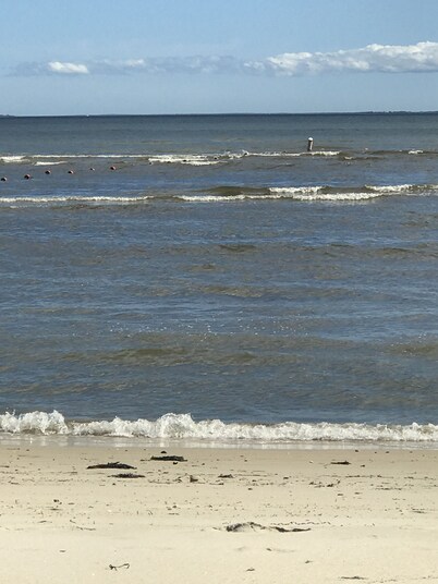 Waterfront 4 bed/4 bath Peaceful Oasis in Giants Neck Beach Community