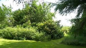 Een gazon met weelderige begroeiing en bomen.