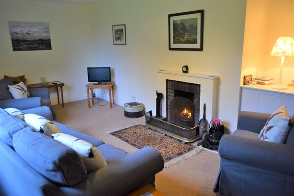 TV, fireplace, DVD player