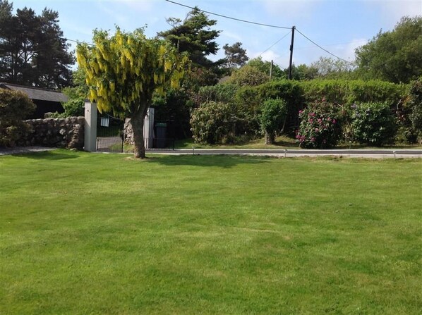 A grassy area with a tree and a stone wall.