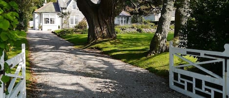 A gravel driveway leading to a white house with a large tree on the right.