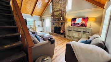 Smart TV, fireplace, books, video library
