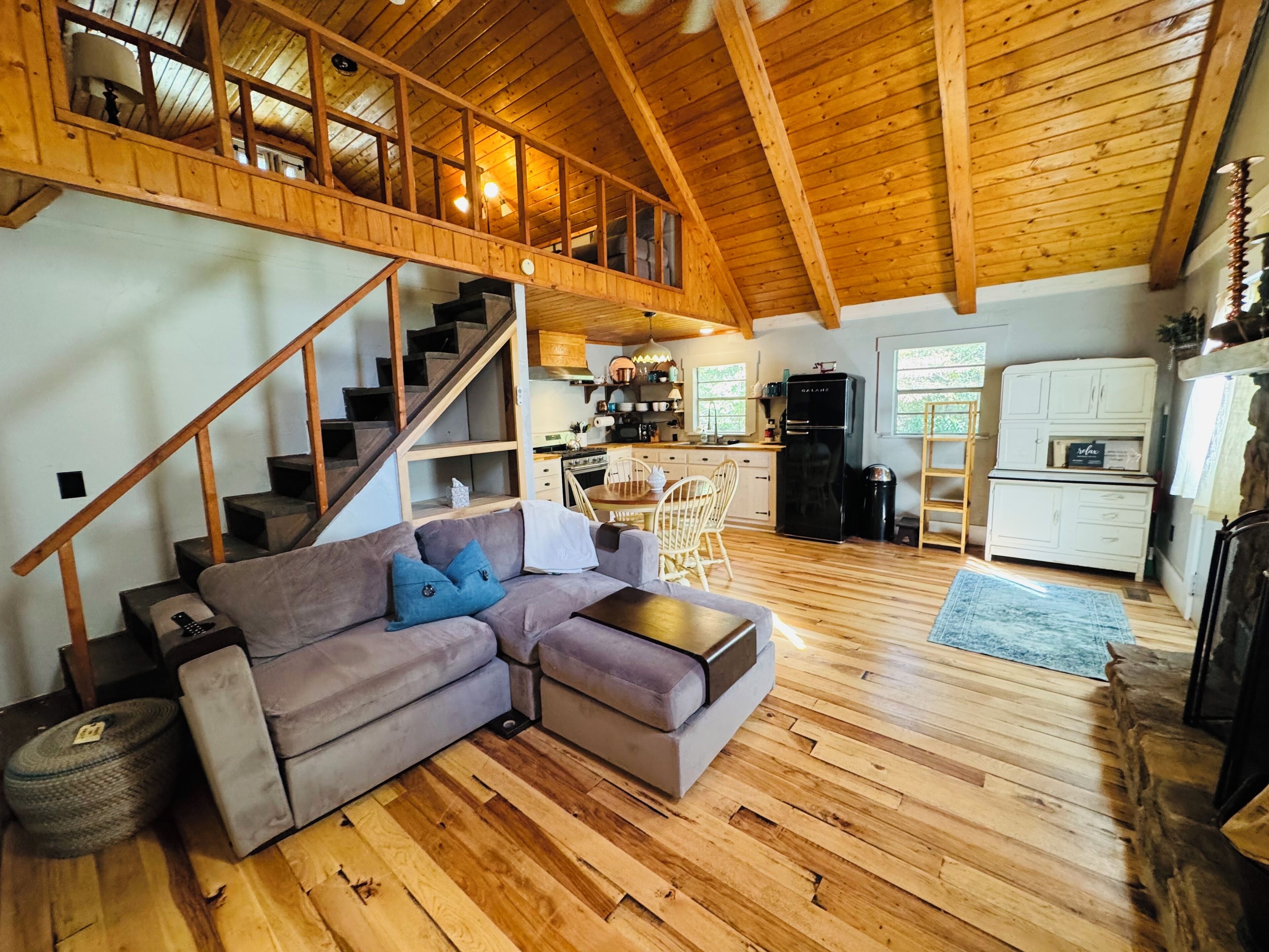 Smart TV, fireplace, books, video library