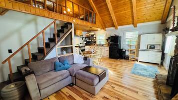 Smart TV, fireplace, books, video library