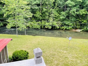 Property grounds - Waterfront Cabin on trophy trout stream, fire pit, smart tv, fireplace (Ellijay)