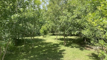 Área da propriedade