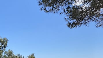 Perto da praia