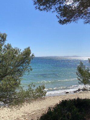 A beach with clear blue water, sandy shore, and pine trees.
