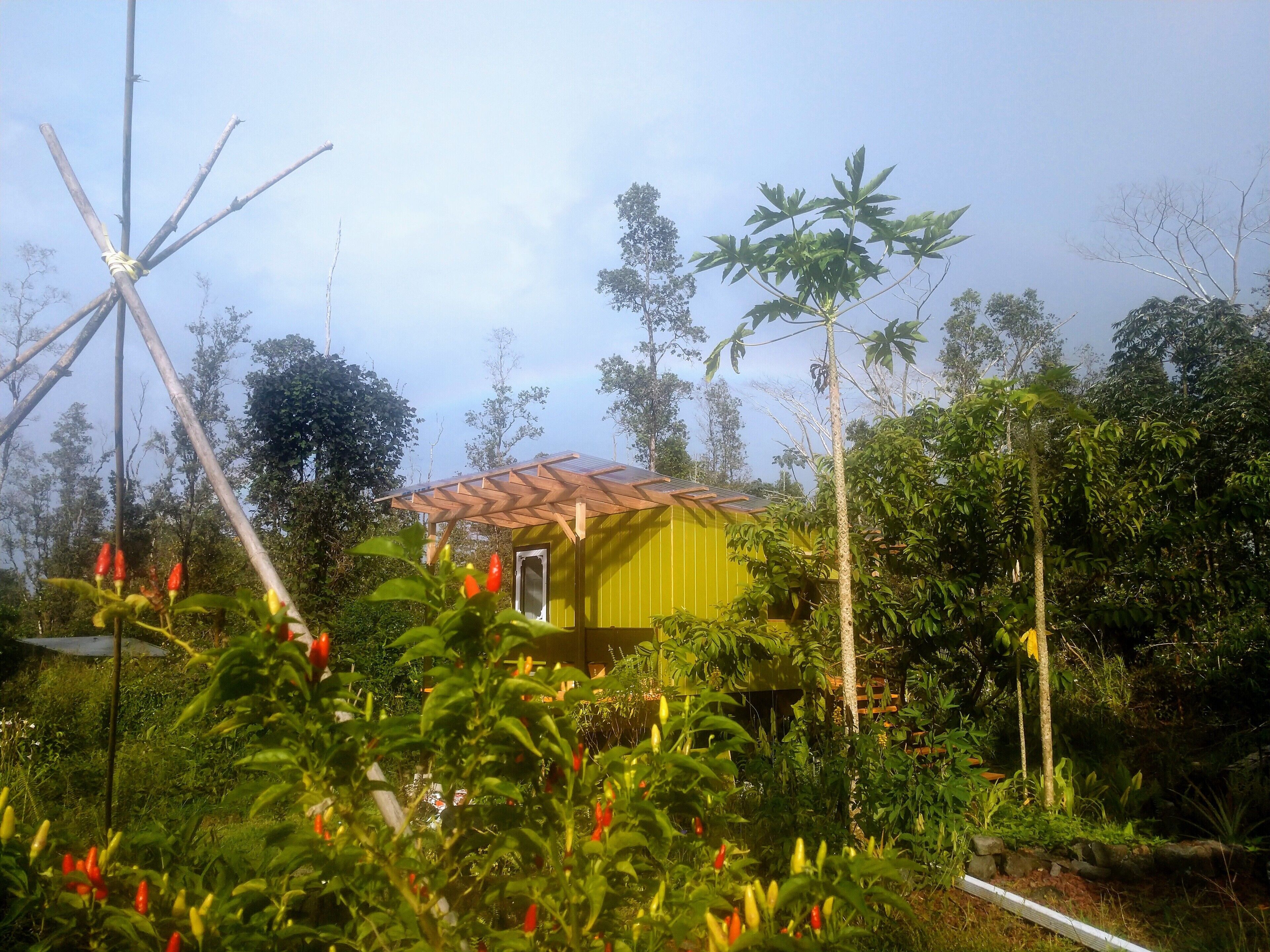 Kurtistown, Big Island