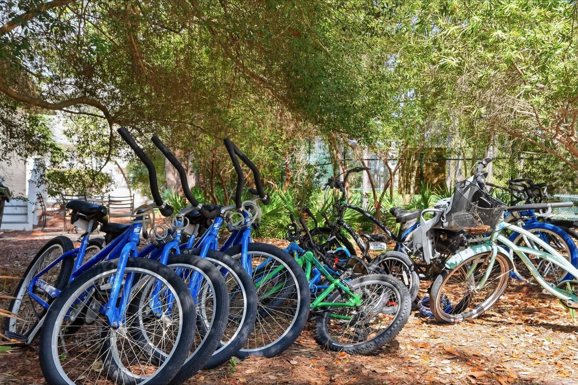 A row of bicycles parked outdoors, surrounded by trees and foliage.