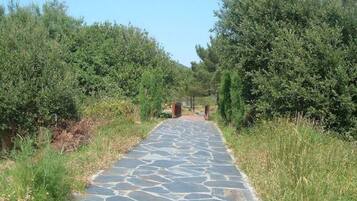 Khuôn viên nơi lưu trú