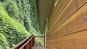 A wooden deck with a railing, leading to a building with a green exterior.