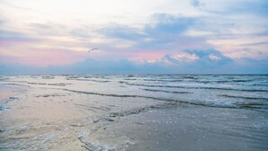 Ein Strand mit Wellen und einem Vogel am Himmel.
