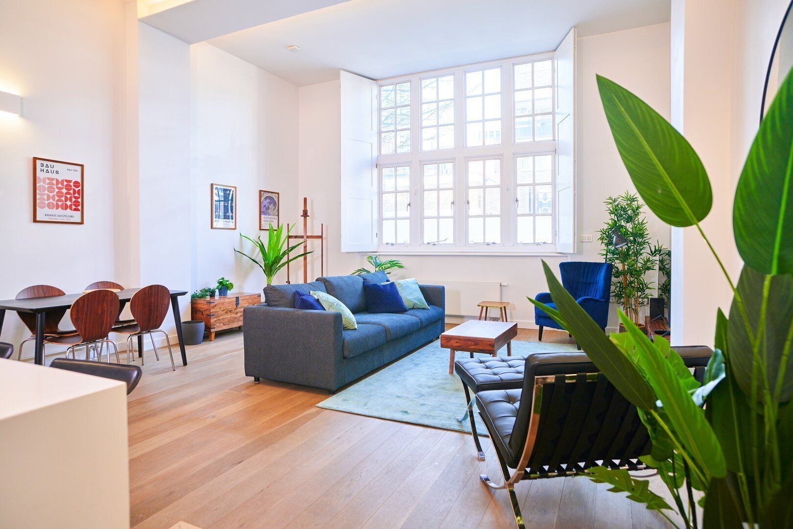 Flat-screen TV, books