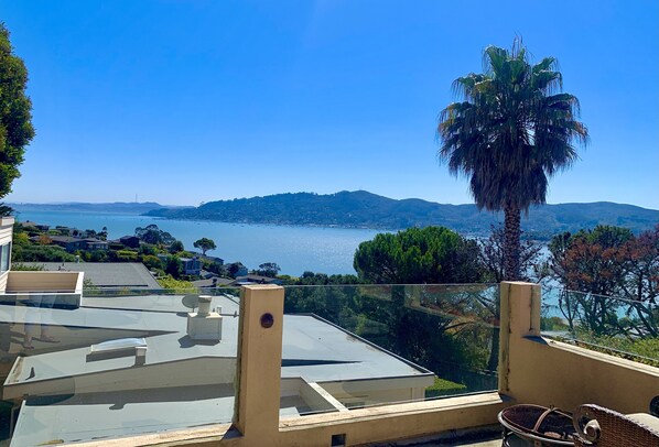 Una terraza con vista despejada al mar y colinas, una palmera y una silla.