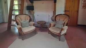 A rustic interior with two armchairs, a fireplace, and a wooden ladder.