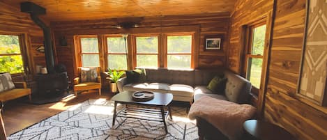 Smart TV, fireplace, video games, DVD player