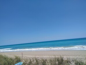 Plage à proximité, chaises longues, serviettes de plage