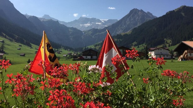 Un paysage montagneux avec deux tentes et des fleurs rouges au premier plan.