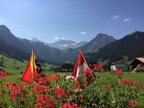 Eine Berglandschaft mit zwei Zelten und roten Blumen im Vordergrund.
