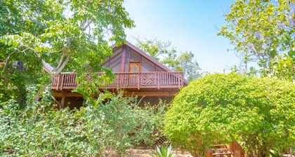 Two Story 3/Bd 2Bath, w Pool and steps to the best snorkeling on the island