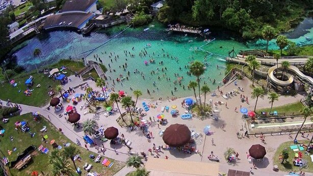 An aerial view of a beach area with a roller coaster, palm trees, and people enjoying the water.